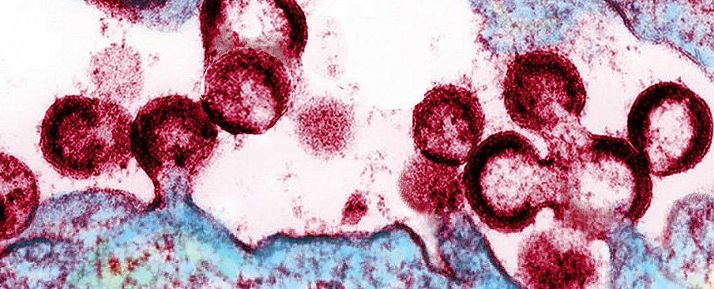 A Fourth Person Is Effectively 'Cured' of HIV, And It's The Oldest Patient Yet