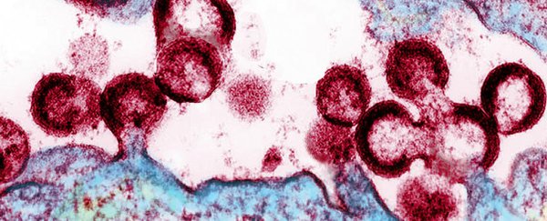A fourth person is effectively 'cured' of HIV, and it's the oldest patient yet