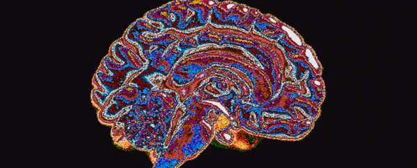 A common ADHD drug shows promise in treating some symptoms of Alzheimer's