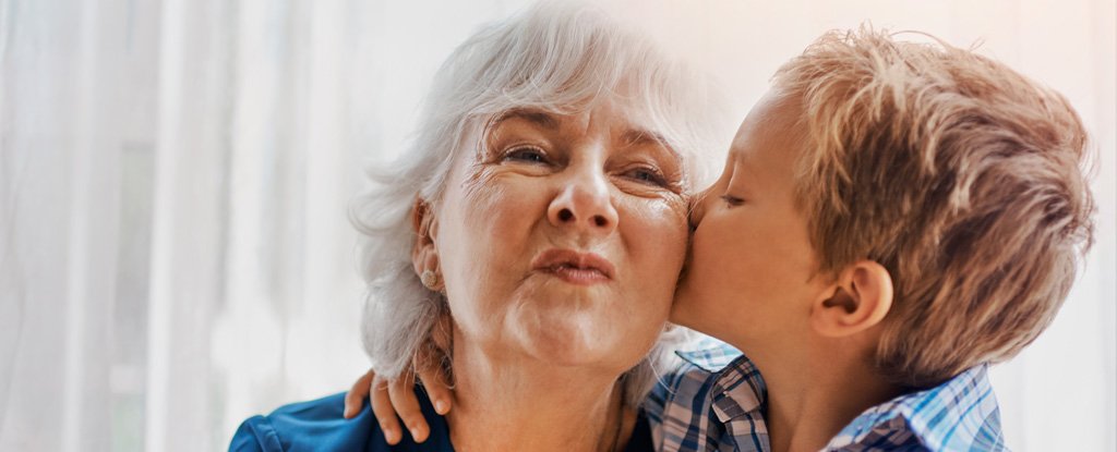 Un estudio sugiere que tenemos que agradecer a estas ETS por desarrollar a las abuelas