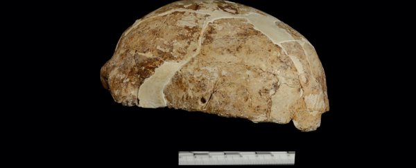 A strange fossil in south China reveals an intriguing link with the First Americans