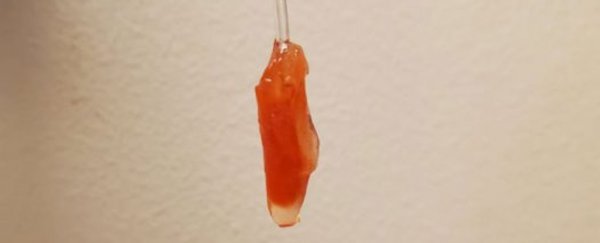 Engineers have grown a major piece of the human heart in miniature, and it beats