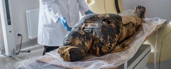 The case of the mysterious 'pregnant' mummy reveals another hidden twist