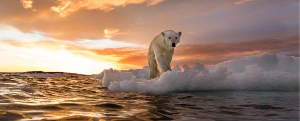 New Study Offers a Surprising Timeline For Earth's Sixth Mass Extinction