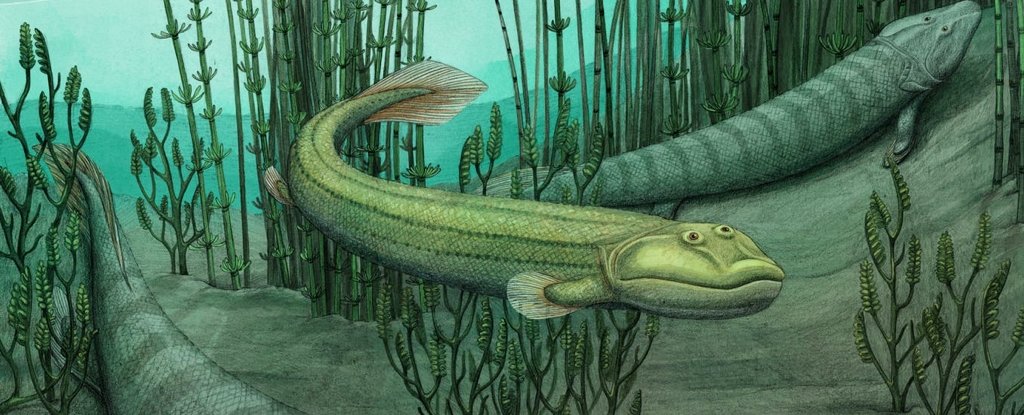 One of The First Animals to Venture Onto Land Went Straight Back Into The  Water : ScienceAlert