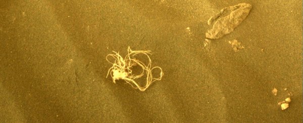 String theory: NASA rover discovers strange tangled object on Mars