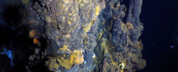 Monster Hydrothermal Field Discovered in The Dark Depths of The East Pacific