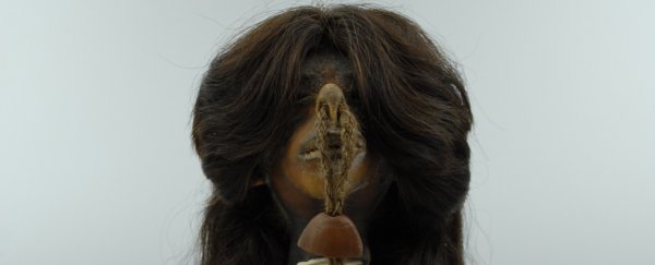 Not All 'Shrunken Heads' in Museums Are Real. But There's A Way to Tell