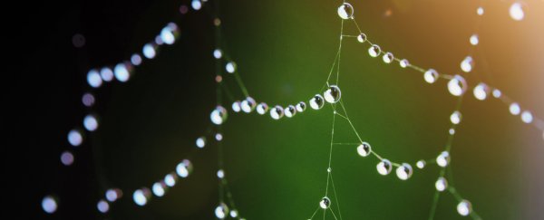 Water can spontaneously form hydrogen peroxide, and we finally understand why
