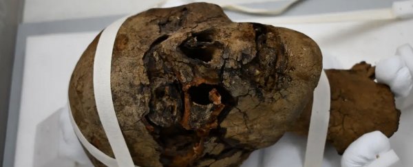 Scientists Find Clues About Decapitated Egyptian Mummy Head Found in Attic