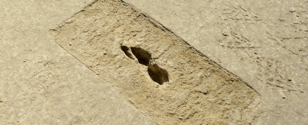 Ancient 'ghost footprints' in Utah are the find of a lifetime, researchers say
