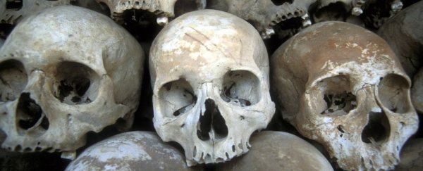 The human brain may not be shrinking after all