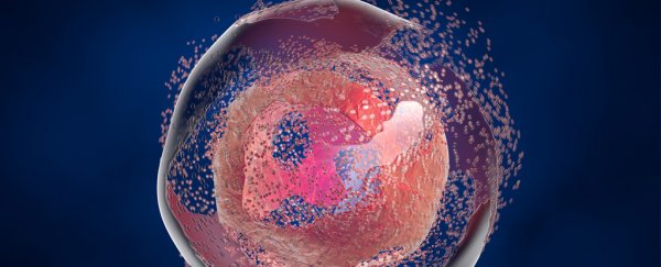 Experiment restores cell and organ functions to dead pigs, hours after they died