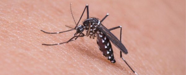 Pathogenic diseases are exacerbated by climate change, scientists warn