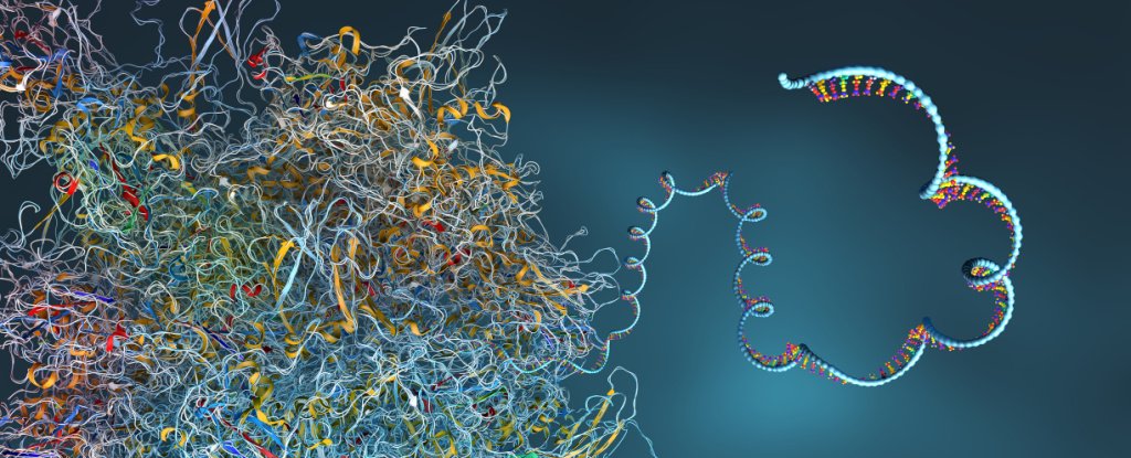 Artificial Intelligence Predicts The Structure of Almost Every Protein Ever Foun..