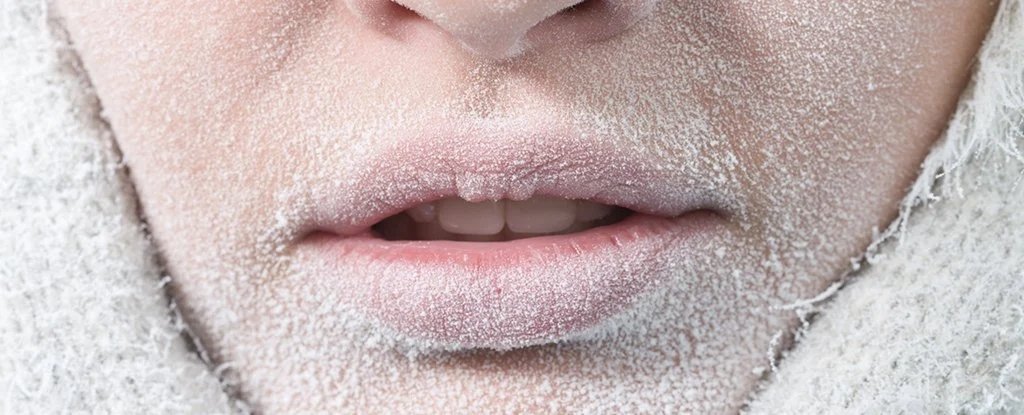 Amazing True Story: The Woman Who Survived Being 'Frozen Solid' - ScienceAlert