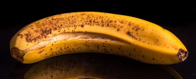 Banana against a black background