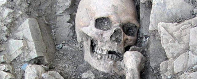 A skull being excavated from the ground