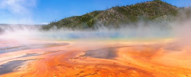 Colorful Hot Spring At Yellowstone