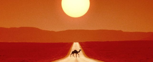 Extreme Heat Would Make Lots of Our Planet Dangerous by 2100, Scientists Warn