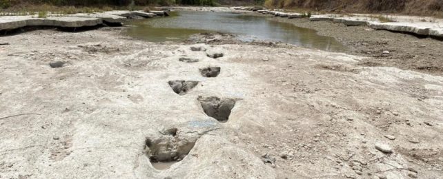 Dinosaur Tracks By River