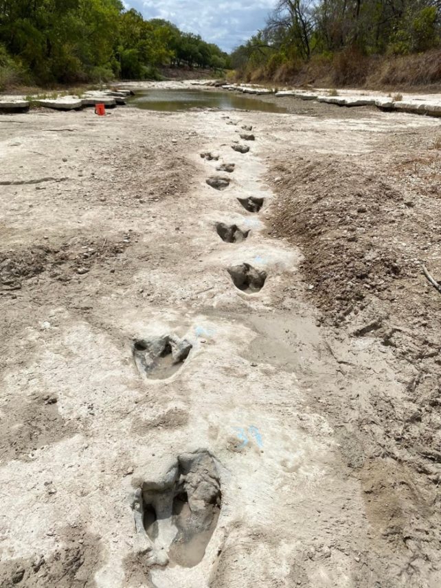 Dinosaur Tracks By Riverside