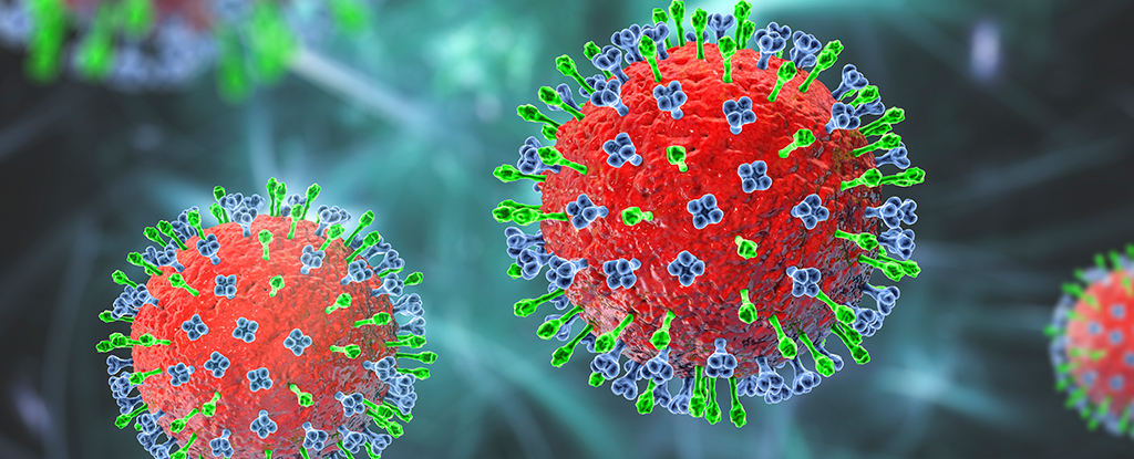 A New Virus Has Been Detected in China. Should You Be Worried About Langya Henipavirus? - ScienceAlert