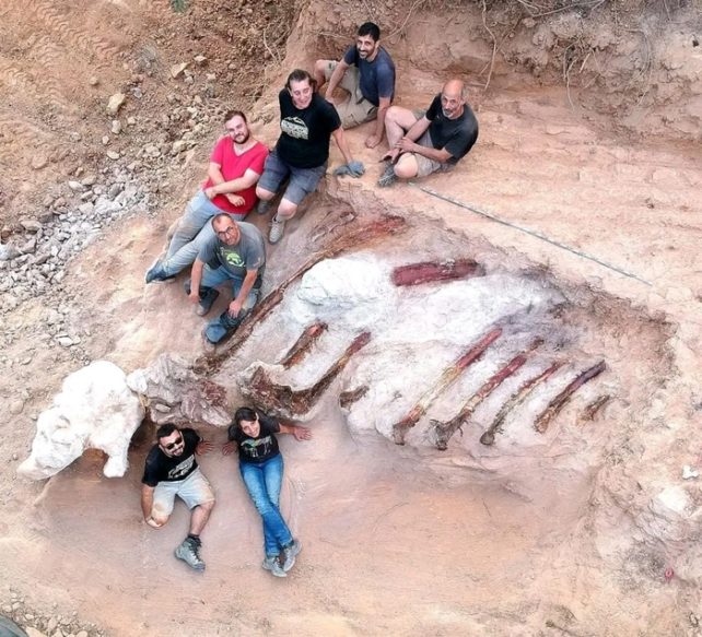 Enorme fossile di dinosauro in Portogallo