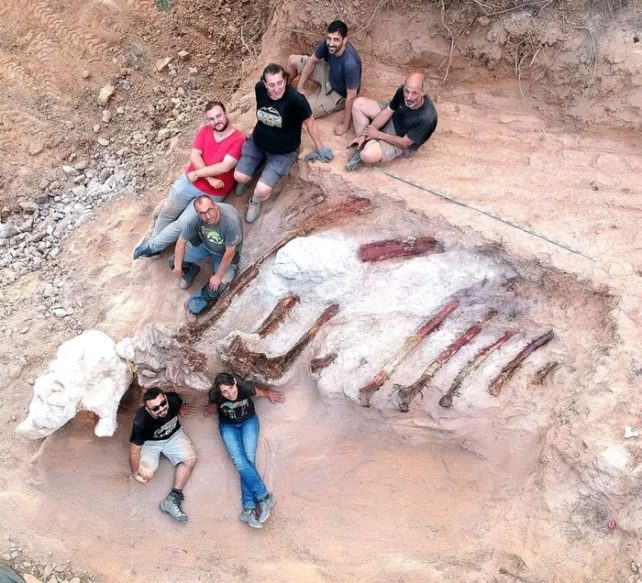 Maior fóssil de dinossauro em Portugal