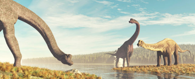 An illustration of brachiosaurus at a lake.