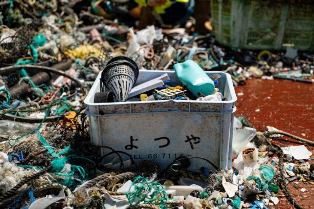 Plastic samples taken from the Great Pacific Garbage Patch.