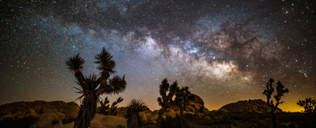 An arm of the Milky Way galaxy visible in the night sky over Joshua Tree National Park.