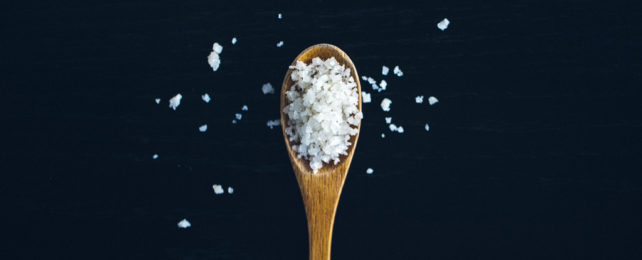 Salt grains on a wooden spoon