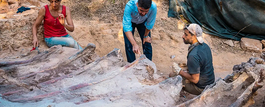 Colosso antigo descoberto em Portugal pode ser o maior dinossauro já encontrado na Europa