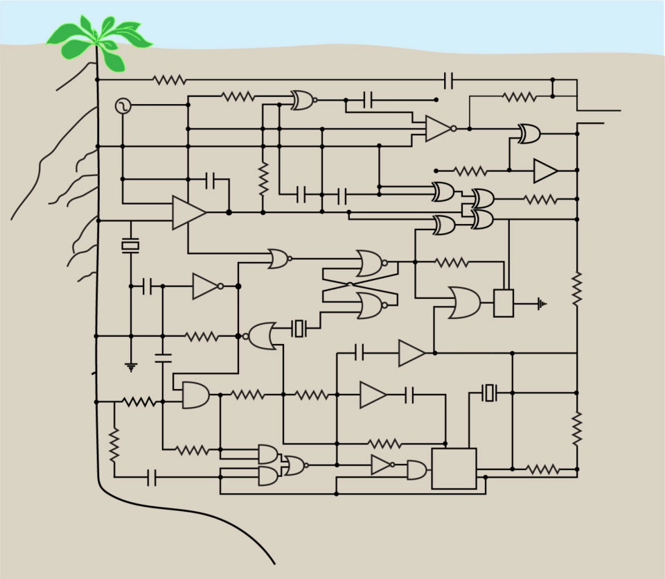 Synthetic gene circuits of plants