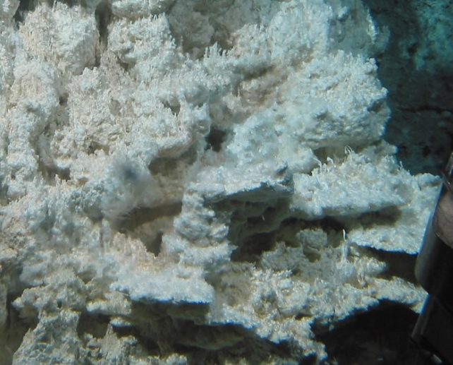 Bactéries sur une colonne de calcite.