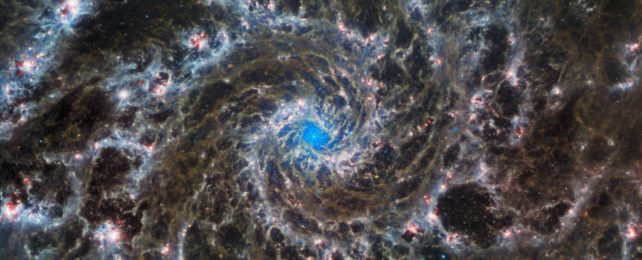 new james webb space telescope image of M74 the phantom galaxy