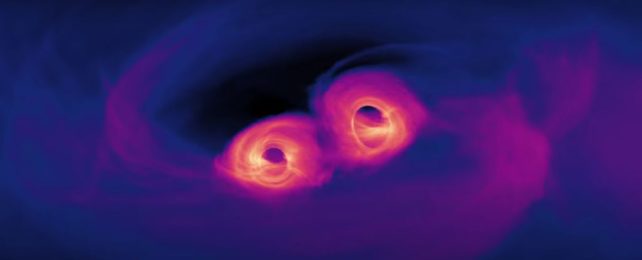 still from a nasa simulation of merging black holes