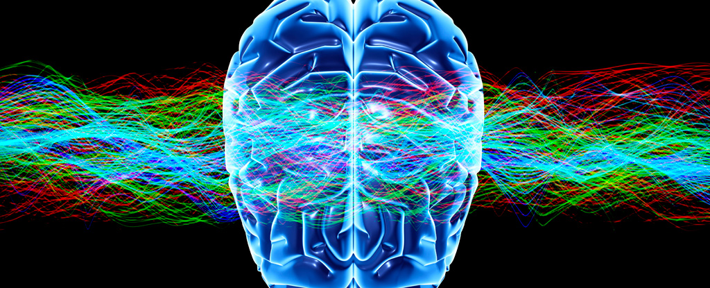 L'acidité cérébrale liée à de multiples troubles neurologiques : ScienceAlert