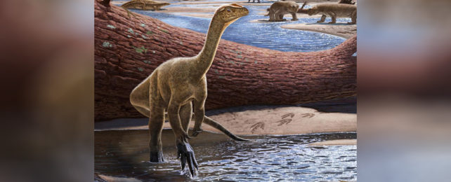 Artist's impression of Mbiresaurus raathi in a swamp