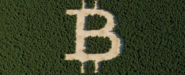 Bitcoin's Climate Impact Is Bigger Than Beef Farming – And It's Only Getting Worse