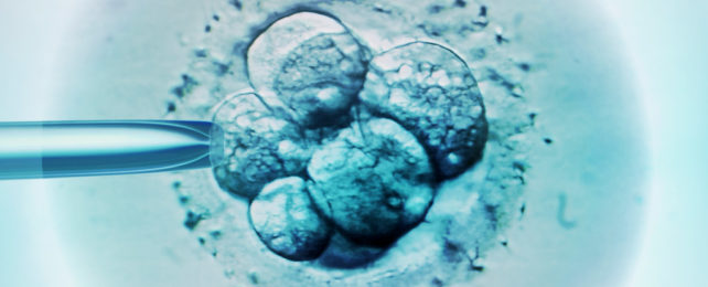 A light micrograph image of embryo selection.