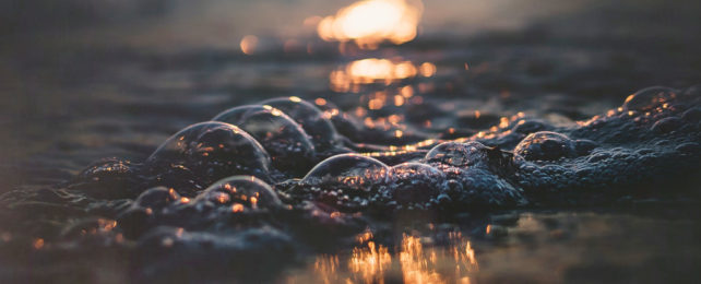 Bubbles on a watery surface.