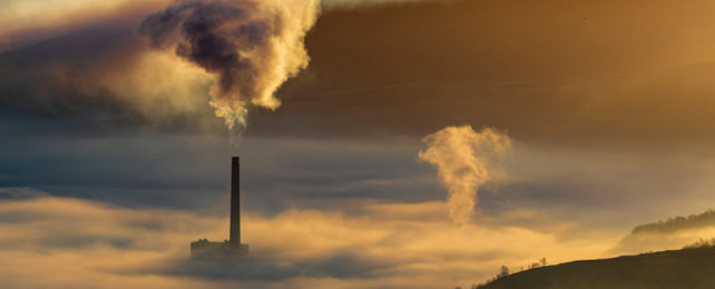 Exhaust leaves a smoke stack at a cement factory on a foggy morning.