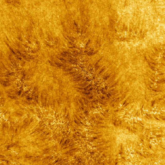 Primer plano de la cromosfera del Sol.