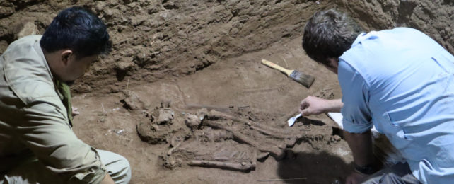 Two archaeologists excavating the remains of a human skeleton.