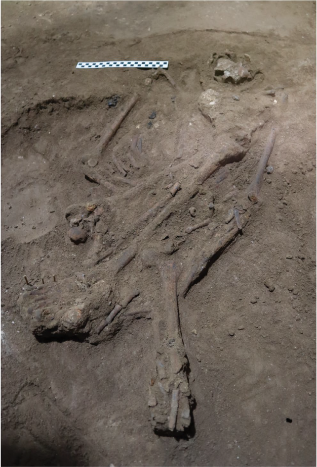 Human skeleton uncovered in limestone in Borneo, buried with right leg bent up towards chest and left leg outstretched.