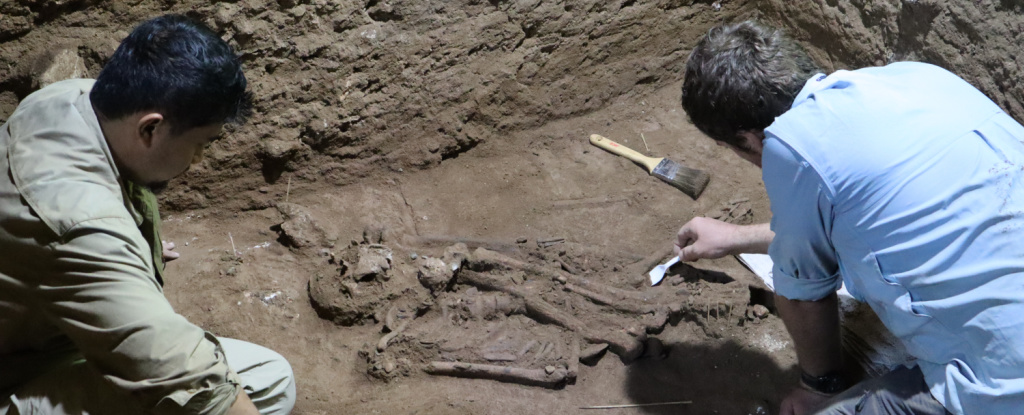 La evidencia de amputación quirúrgica más antigua del mundo estuvo oculta durante 31.000 años : Heaven32