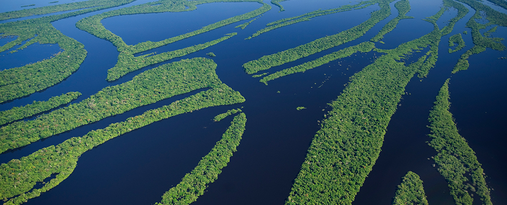 Forest Islands in The Amazon Host Unique Ecosystems, But They're Doomed