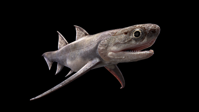Illustration of toothy fish with long arm fins on black background.